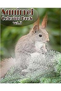 Squirrel Coloring Book: 7
