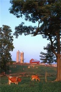 Journal Cows Dairy Farm Pasture Silos