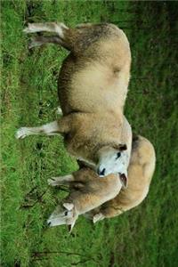 Three Sheep in the Meadow Journal: Take Notes, Write Down Memories in this 150 Page Lined Journal