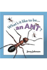 Ant?
