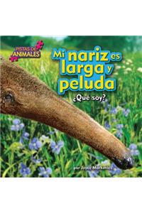 Mi Nariz Es Larga Y Peluda (My Nose Is Long and Fuzzy)