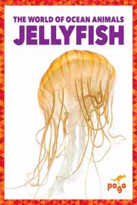 Jellyfish