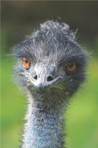 Emu