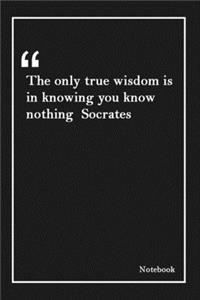 The only true wisdom is in knowing you know nothing Socrates