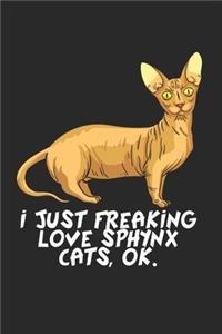 Sphynx Katze Notizbuch