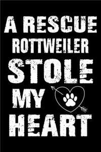 A Rescue Rottweiler Stole My Heart