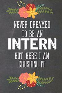 Never Dreamed To Be an Intern But Here I Am Crushing It