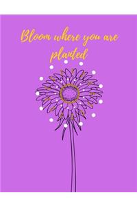 Bloom Where You Are Planted