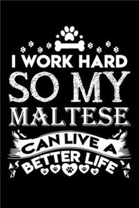I work hard so my Maltese can live a better life