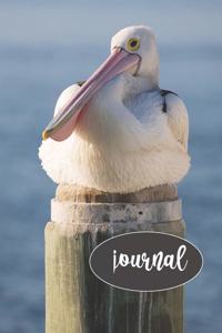 Pelican Journal