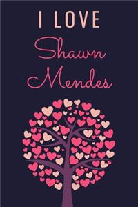 I Love Shawn Mendes