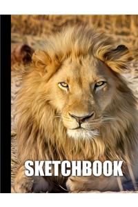 Sketchbook