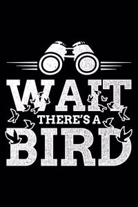 Wait There's A Bird