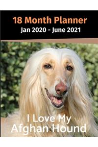 Jan 2020 - June 2021 18 Month Planner