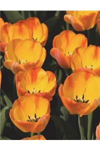 Tulips Notebook Large Size 8.5 x 11 Ruled 150 pages Softcover