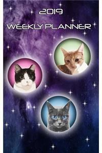 Space Cats Weekly Planner