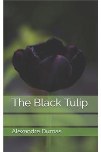 The Black Tulip