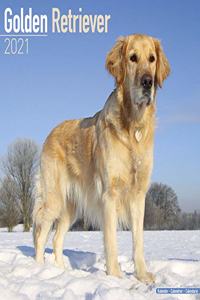 Golden Retriever 2021 Wall Calendar