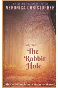Rabbit Hole