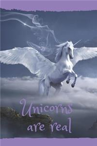 Unicorns Are Real