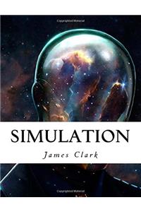 Simulation