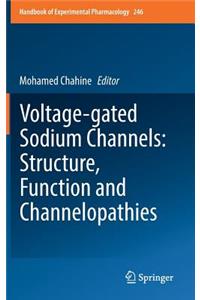 Voltage-Gated Sodium Channels: Structure, Function and Channelopathies