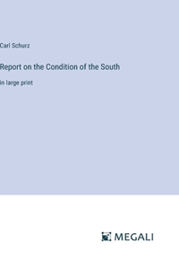 Report on the Condition of the South