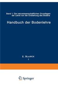 Handbuch Der Bodenlehre