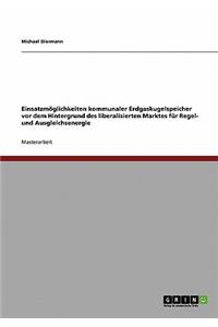 Einsatzmöglichkeiten kommunaler Erdgaskugelspeicher vor dem Hintergrund des liberalisierten Marktes für Regel- und Ausgleichsenergie