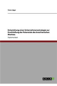 Entwicklung einer Unternehmensstrategie zur Erschließung der Potenziale des brasilianischen Marktes