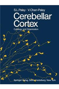 Cerebellar Cortex