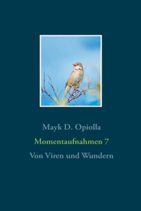 Momentaufnahmen 7