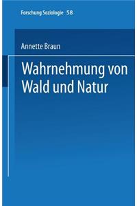 Wahrnehmung Von Wald Und Natur