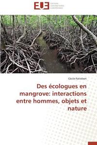 Des Écologues En Mangrove