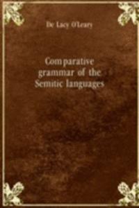 Comparative grammar of the Semitic languages