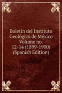 Boletin del Instituto Geologico de Mexico Volume no. 12-14 (1899-1900) (Spanish Edition)