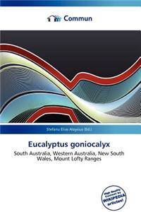Eucalyptus Goniocalyx