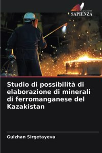 Studio di possibilità di elaborazione di minerali di ferromanganese del Kazakistan