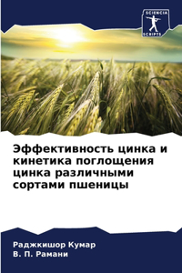 Эффективность цинка и кинетика поглощени