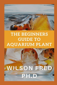 The Beginners Guide To Aquarium Plant