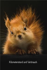 Kilometerstand und Verbrauch