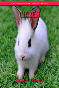 Hasen