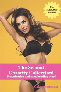 Second Chastity Collection!