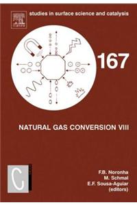 Natural Gas Conversion VIII