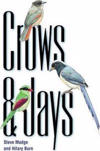 Crows and Jays
