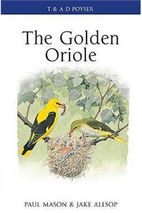 The Golden Oriole