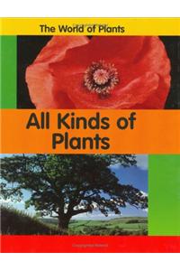 All Kinds Of Plants