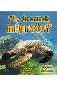 Why Do Animals Migrate?