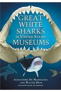 Great White Sharks in United States Museums
