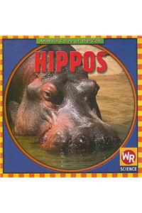 Hippos